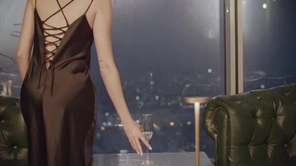Back View Elegant Woman Dress Glass Wine Window Media Woman — Stock Video