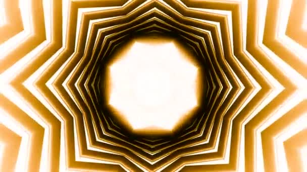 Abstrakcyjne Ozdobne Tło Dekoracyjne Projektowanie Kalejdoskop Koncentryczny Hipnotycznej Flory — Wideo stockowe