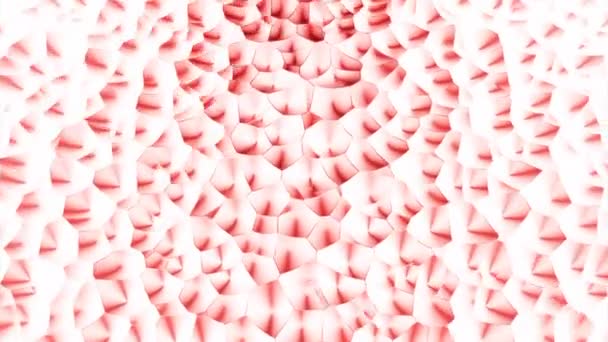 Particules Clignotantes Abstraites Créant Une Surface Tournante Design Formes Rondes — Video