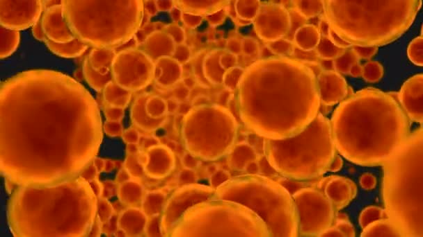 人間の体内の脂肪細胞 デザイン 生物学と人体の概念 — ストック動画