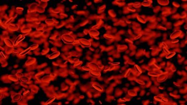 Kırmızı kan hücreleri arterdeki kan dolaşımında hareket ediyor. Tasarım. Hemoglobin hücrelerinin 3 boyutlu animasyonu