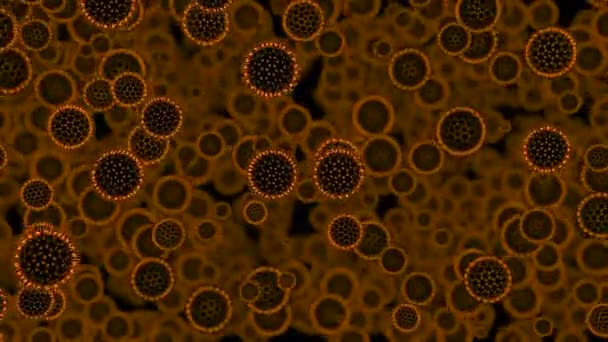Origem Conceito Vida Desenho Desova Bactéria Flutuar Substância Líquida — Vídeo de Stock