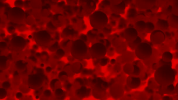 Simulation Cellules Vue Microscopique Design Flux Sanguin Rouge Avec Cellules — Video