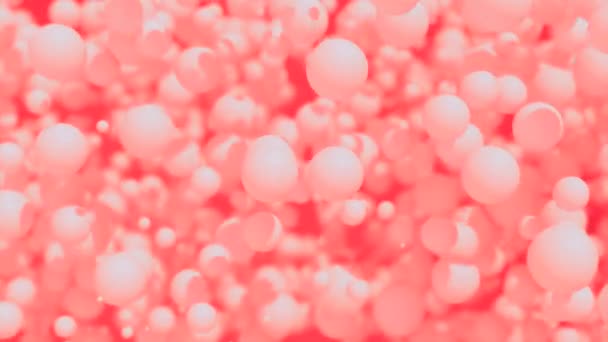 Барвиста Анімація Плаваючими Кульками Дизайн Які Маленькі Сфери Рухаються Випадково — стокове відео