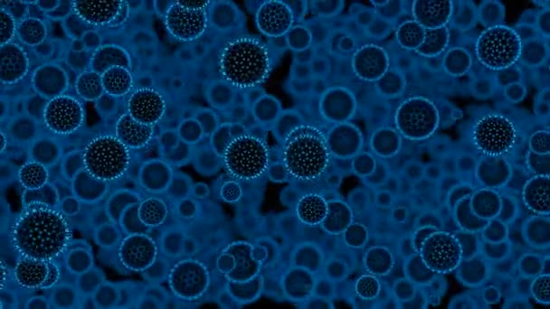 细菌之间的相互作用 蓝色快速扩散病毒细胞的医学背景 — 图库视频影像
