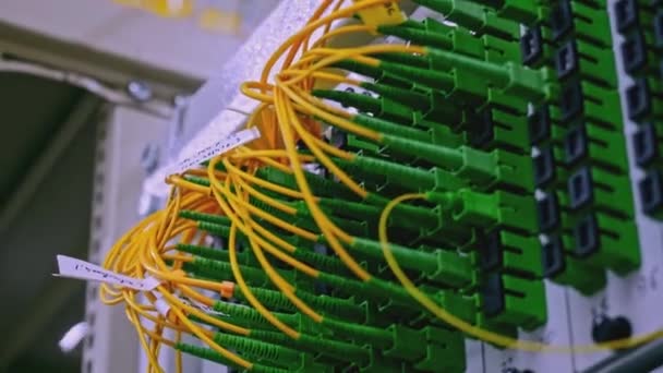 Close Optical Fiber Switchboard Hub Server Room Stock Footage Concept — Vídeo de stock