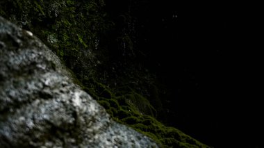 Düşen su damlalarıyla yosunlu dağ yamacı. Yaratıcı. Karanlık, büyük bir mağaraya girin.
