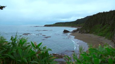 Bulutlu havada yeşilliği olan güzel kayalık bir sahil. Şarjör. Güney deniz kıyısının kayalıklı manzarasının en üst görüntüsü. Bulutlu bir günde yeşil kayalık sahil.