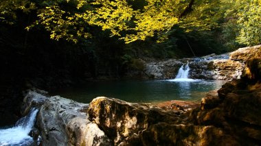 Tropikal ormanda resimli bir yaz göleti. Yaratıcı. Küçük şelale ve ormanlar
