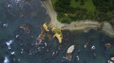 Suda kayalar olan güzel vahşi sahil manzarası. Şarjör. Kıyıda kayalar ve dalgalar olan kıyı şeridi. Kayaların çeşitliliğiyle deniz kıyısının ilham verici doğası.