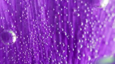 Mor çiçek yaprağı bulanıklaşıyor. Stok görüntüleri. Bir leylağa çok yakın. Yumuşak, güzel bir çiçek yaprağı. Şeffaf sudaki küçük hava kabarcıklarıyla kaplı.