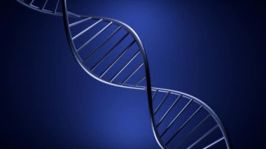 Bükülmüş 3 boyutlu DNA sarmalı. Tasarım. DNA 'nın metalik yapısı izole bir zeminde hareket eder. Hareket eden DNA 'nın 3 boyutlu animasyonu. Biyolojik ya da bilimsel animasyon.