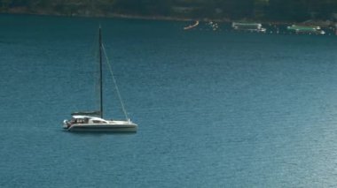 Yeşil kıyı boyunca yelken açan küçük bir teknesi olan yaz manzarası. Yaratıcı. Yaz tatili ve dalgalı deniz yüzeyi kavramı