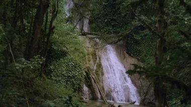 Yeşil ağaçlı ormanlar ve yaz günü şelale. Yaratıcı. Yoğun ormanda güzel bir şelale