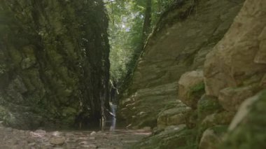 Ormandaki göllü Rocky Vadisi. Yaratıcı. Yeşil ormanda şelalesi olan dar bir vadi. Yazın vahşi ormanda suyla dolu güzel dar bir vadi..