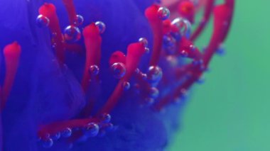 Leylak mürekkebi sisinde su altı çiçeği ve taç yaprakları. Stok görüntüleri. Fantezi çiçekleri, doğa büyüsü, pembe çiçek.