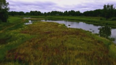 Ormanda bataklık olan nehrin üst manzarası. Stok görüntüleri. Bulutlu havada bataklık arazisi olan güzel bir manzara. Bataklığın gizemli manzarası. 
