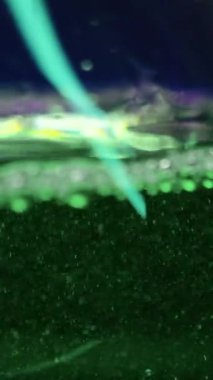 Bardakta köpükler olan yeşil içeceğe yakın plan. Borsa klipsi. Gece kulübünün arka planında yeşil içeceği bardakla tazeliyorum. Alkolik içki ve gece hayatı.