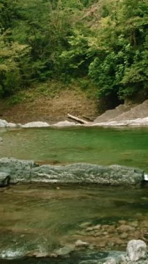 Nehir ormandaki gölete akıyor. Yaratıcı. Kadın ve ormanın arka planında küçük şelaleleri olan güzel bir gölet. Orman göletinin kenarında duran kadın..