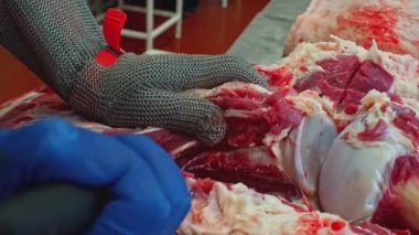 Kasap et keserken yakın plan. Şarjör. Kasap kuru sıkı için domuz leşi kesiyor. Kasap ya da kasaplık ile endüstriyel üretim. 