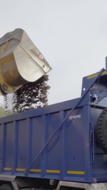 Sırbistan, Belgrad - 30 Temmuz 2021: Kazıcı çöp kamyonunu kum veya toprakla doldurdu. Sahne. İnşaat işleri için alanı boşaltıyorum. Çöp kamyonu ve kazıcılı ağır makineler üzerinde çalışıyor
