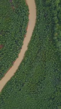 Ormanda büyük kirli bir nehir. İnsansız hava aracının görüntüsü. Şarjör. Dev bir yeşil ormanın yanında akan petrol ürünleriyle dolu büyük, kıvrımlı kirli bir nehir ve insanlar için birkaç küçük ev...