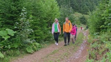 Turist grubu ormanda yol boyunca yürüyor. Şarjör. Ormana yaz yürüyüşü. Bir grup turist yaz günü yeşil ormanda yürürler.. 
