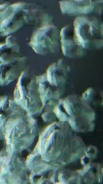 Siyah arka planda suyun altındaki hava kabarcıklarını kapatın. Stok görüntüleri. Kaynayan su makro görünümü