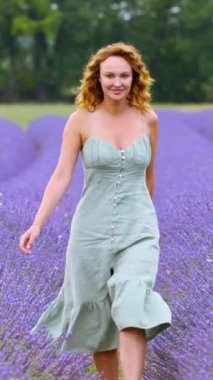 Lavanta tarlasında yürüyen mavi elbiseli genç bir kadın. Başla. Provence, Fransa 'da güzel bir kız