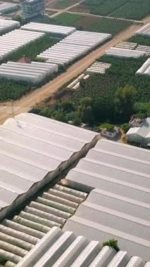 Tarım seralarının en iyi manzarası. Şarjör. Yazın güzel yeşil tarlalar ve tarımsal üretim seraları. Tarlalarda ve seralarda sebze yetiştirmek için tarım endüstrisi.