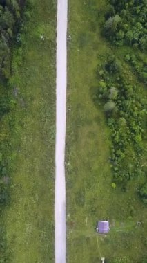 Yol orman ve ağaçlar arasında hava görünümünü. Renkli kırsal sonbahar ormandaki düz yol üzerinde ek yükü hava üstten görünüm. Düz aşağı bakış açısı yukarıda. Yol yeşil çam ormanı