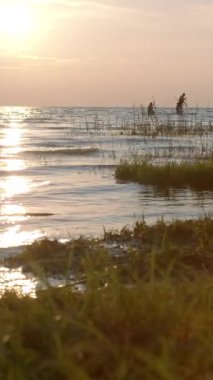 Gün batımında köy gölünde yüzen insanların siluetleri. Yaratıcı. İnsanlar gün batımında gölde yüzer. Gün batımında yüzen insanlarla güzel bir manzara..