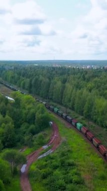 Yeşil yaz ağaçları boyunca giden uzun bir yük treninin havadan görünüşü. Şarjör. Demiryolu çam ağacı ormanı boyunca uzanıyordu.