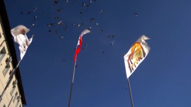 Rusya, Moskova - 15 Temmuz 2024: Yukarıda güzel, açık mavi bir gökyüzüne karşı herkesin görmesi için üç canlı bayrak sergileniyor. Menkul Kıymetler