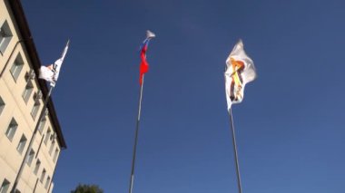 Rusya, Moskova - 15 Temmuz 2024: Renkli bayraklar açık mavi gökyüzünün altında gururla dalgalanıyor, ulusal gurur ve kimlik gösteriyorlar. Menkul Kıymetler