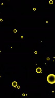 Siyah arka planda uçuşan sabun köpükleri. Tasarım. Renkli halka siluetleri