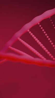 3 boyutlu DNA yapısı taşınıyor. Tasarım. Elektronik uzayda hareket eden üç boyutlu DNA zinciri. Bilgisayar alanında hareket eden DNA sarmallarının yakın plan animasyonu.