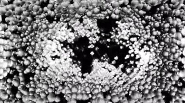 Küresel şekillerin klasik siyah ve beyaz formatta sunulduğu bir mikroskobik yapının soyut tasviri