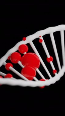 Siyah arkaplan ve DNA molekülü. Tasarım. Farklı yönlere doğru yaklaşık olarak hareket eden bir renk canlandırması. Yüksek kalite 4k görüntü