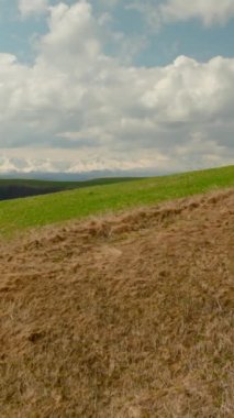 Yeşil çimenli ve seyrek ağaçlı tepe manzarası. Vuruldu. Yeşil çimenli ve bulutlu gökyüzü olan güzel tepe vadisinin manzarası. Dağlık vadinin yaz manzarası seyrek ağaçlar ve yeşil otlar.