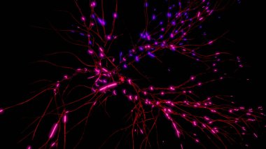 Nöronlar ve sinirsel bağlantılar, bilim ve tıp kavramı. Hareket. Görselleştirme günlüğü beyinde nöronal aktivite, nörogenez, nörotransmitterler, beyinde elektrik, sinapslar