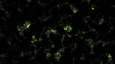 Küçük parçacıkların hareket eden yeşil hareketi. Tasarım. Siyah arka planda parlayan yeşil lekeler, pürüzsüz döngü