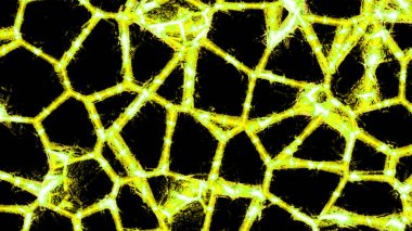 Hareketli hücrelerle parlayan desen çizgileri. Tasarım. Siyah arka planda parlak çizgileri olan hücre kalıpları değiştiriliyor. Geometrik hücrelerle hareket eden paternler.