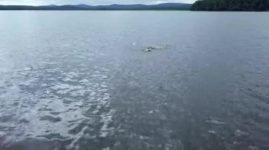 Bulutlu bir gökyüzünün altındaki bereketli dağlarla çevrili sakin bir gölde zarifçe süzülen bir yüzücünün huzurlu görüntüsü. Menkul Kıymetler