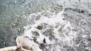 Sakin sularda dinamik ve büyüleyici bir sıçrama, güzel bir şekilde canlı doğa hareketi. Menkul Kıymetler