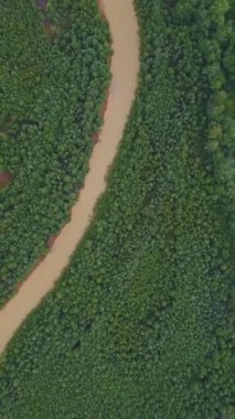 Ormanda büyük kirli bir nehir. İnsansız hava aracının görüntüsü. Şarjör. Dev bir yeşil ormanın yanında akan petrol ürünleriyle dolu büyük, kıvrımlı kirli bir nehir ve insanlar için birkaç küçük ev...