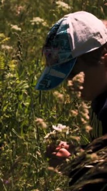 Tarlada bir çocuk. Yaratıcı. Uzun otlarla dolu bir tarlada duran ve papatya toplayan küçük bir çocuk.