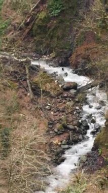 View of the mountain slope covered by withered grass and flowers. Stock footage. Stream flowing on the slope of the mountain, landscape in autumn colors.