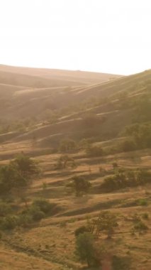 Parlak gökyüzü arka planında büyüyen yeşil ağaçlarla dağ yamacının altın manzarası. Akşam gün batımında tepelerin üzerinde uçuyorum..