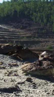 Arka planda orman olan çakıl ocağı. Stok görüntüleri. Güneşli bir yaz gününde taş ocağında eski bir ağaç gövdesi ve taşlar.